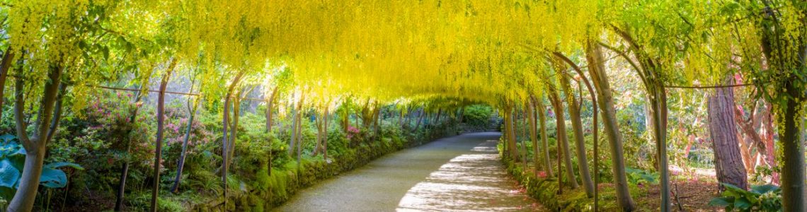 Bodnant Gardens, National Trust